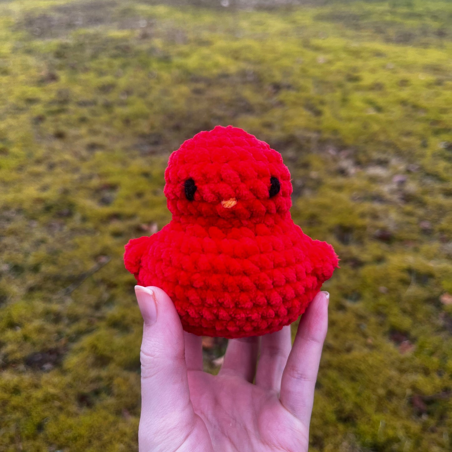 Ducky Buddy