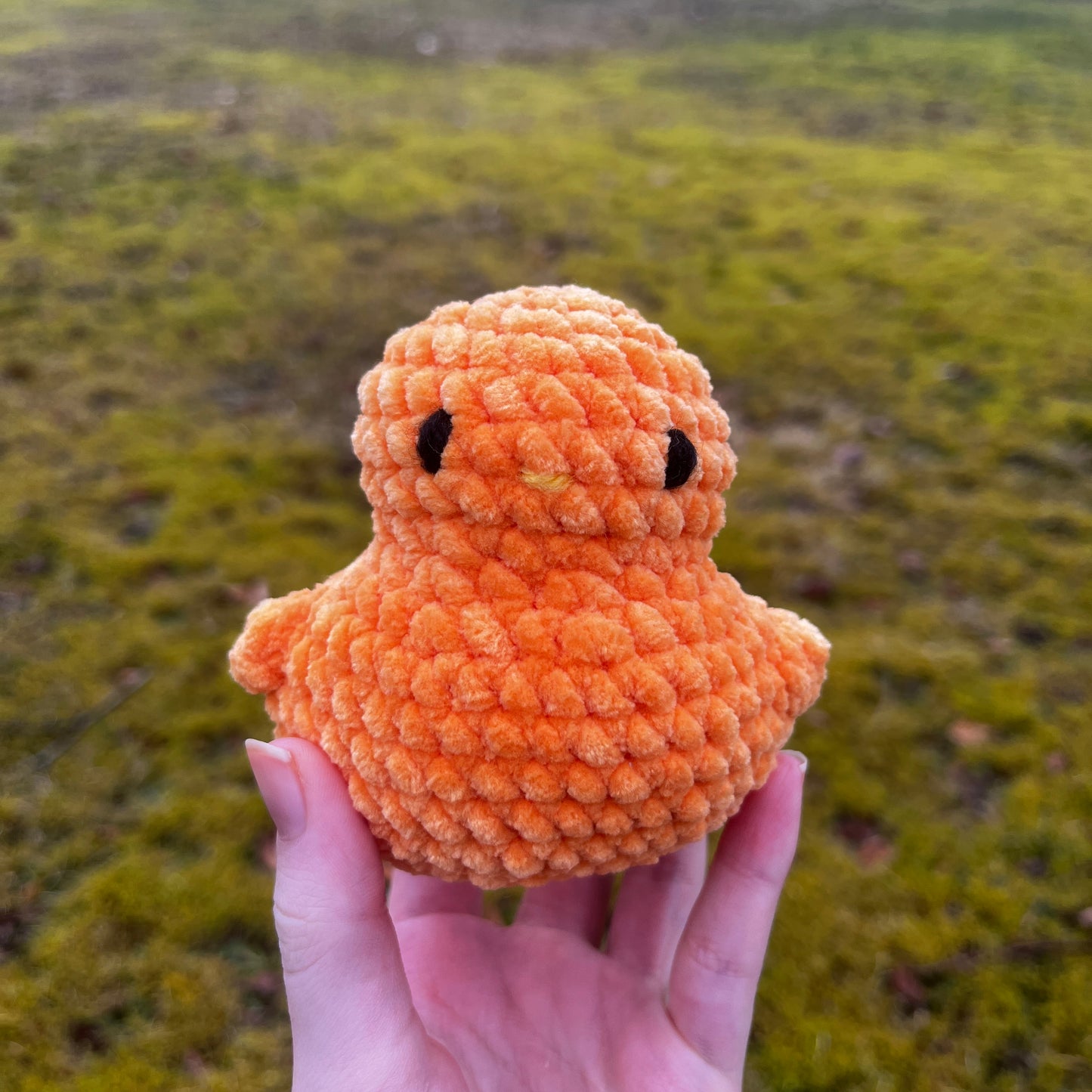 Ducky Buddy