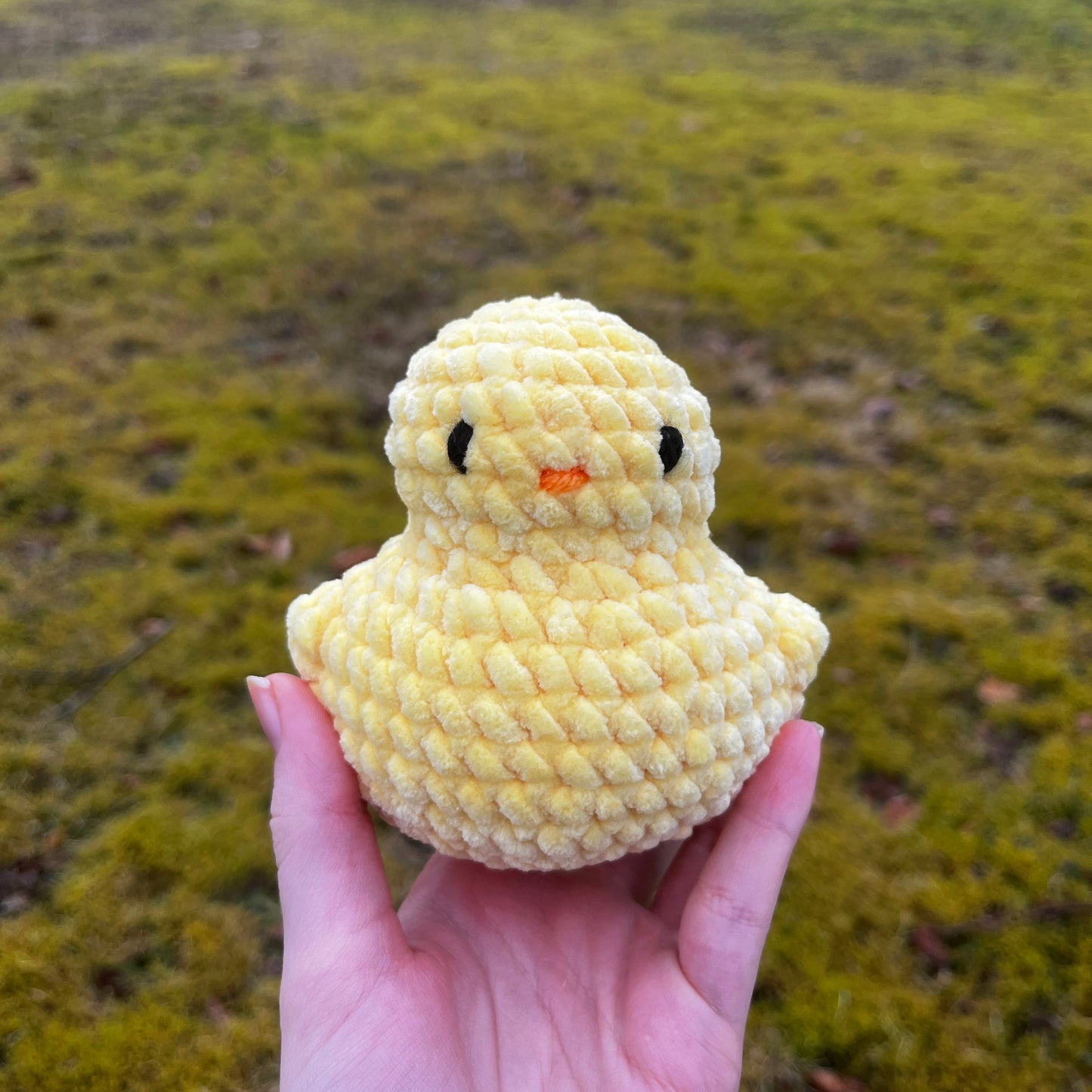 Ducky Buddy