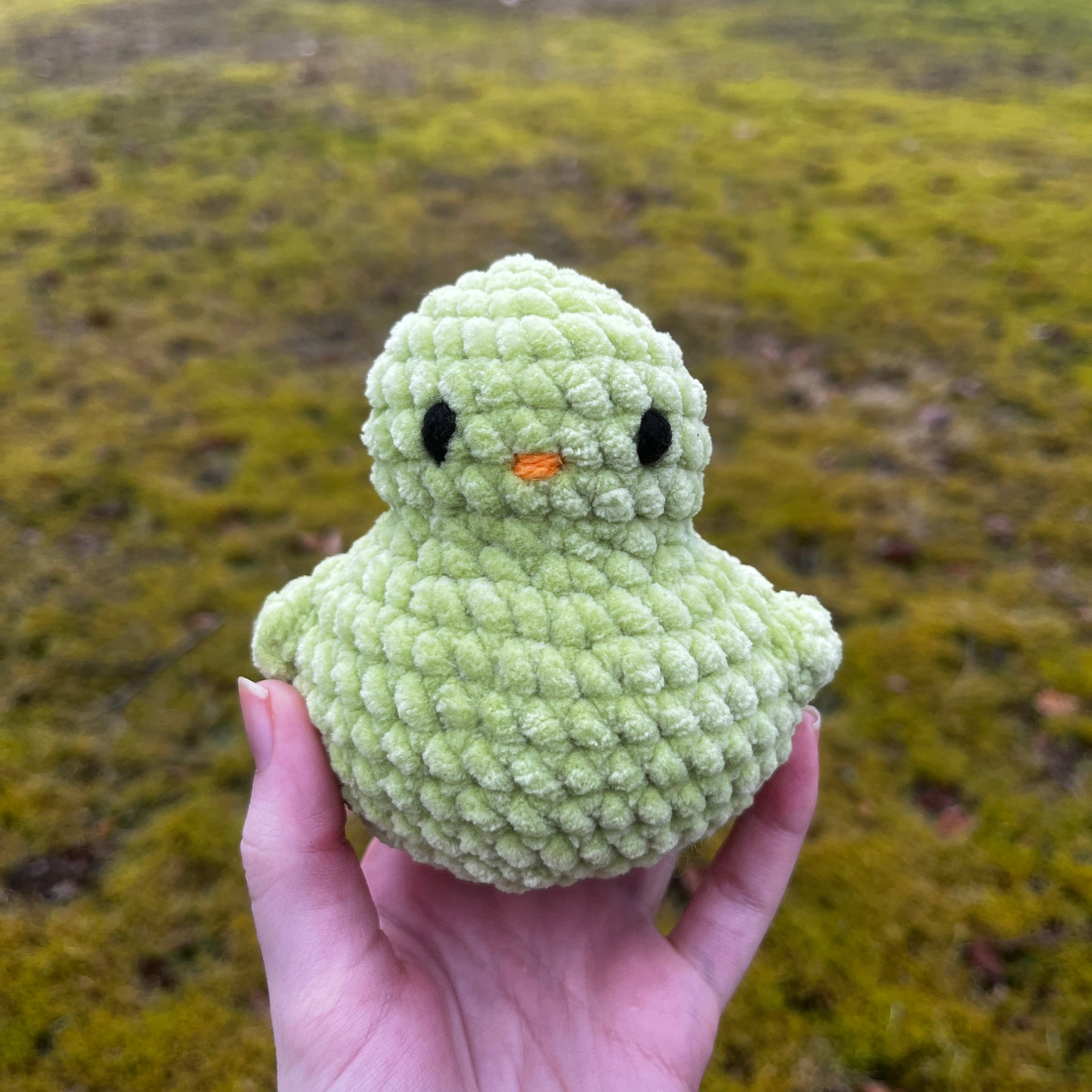 Ducky Buddy
