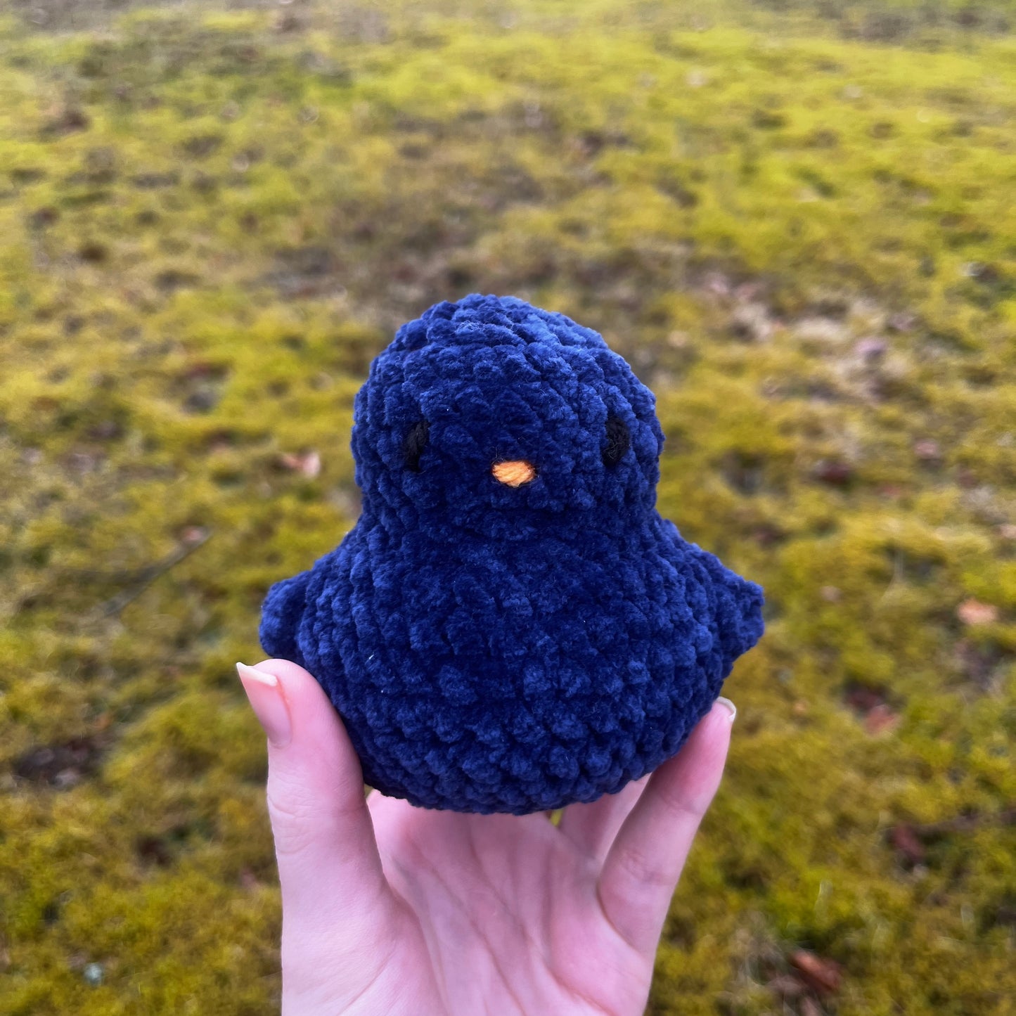Ducky Buddy