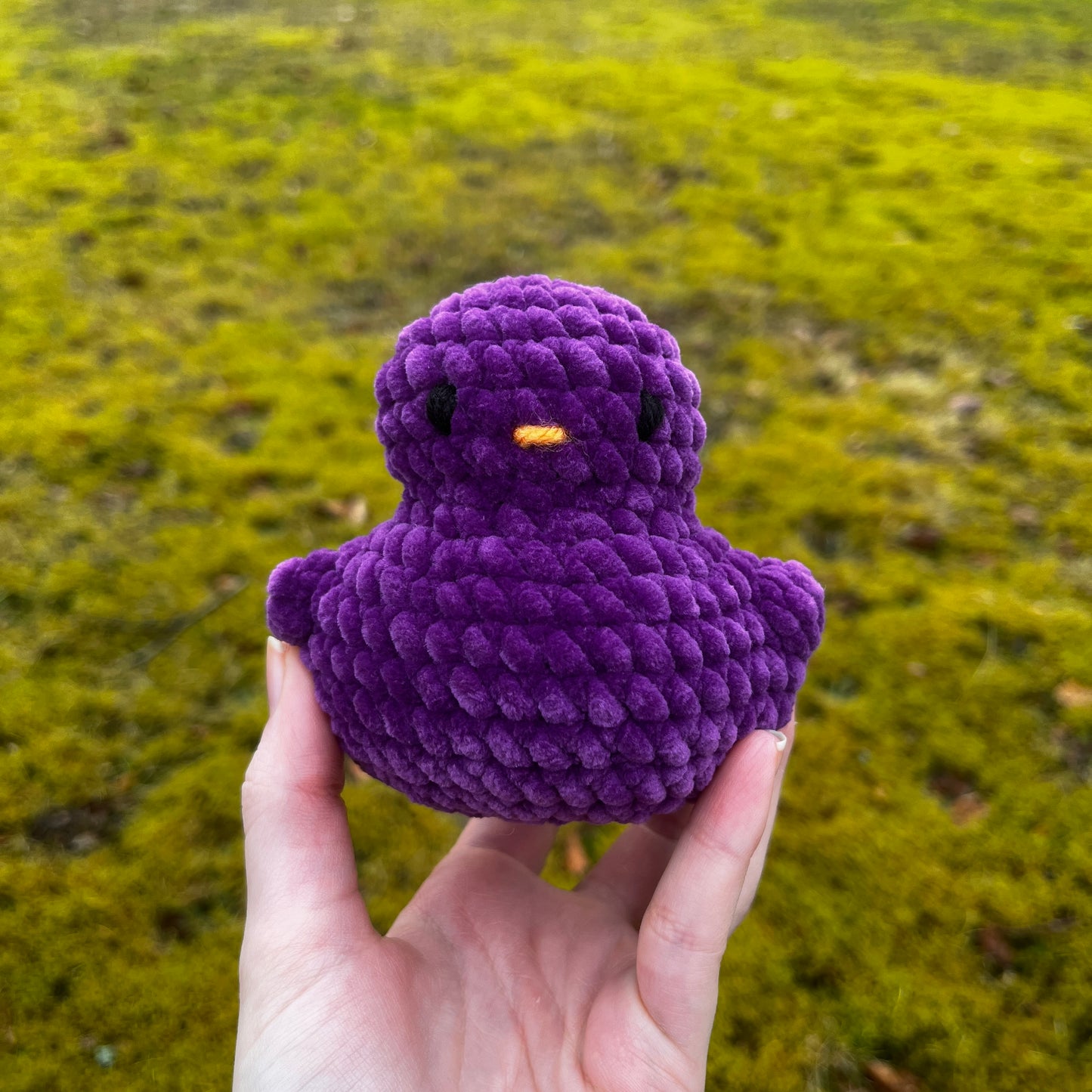 Ducky Buddy