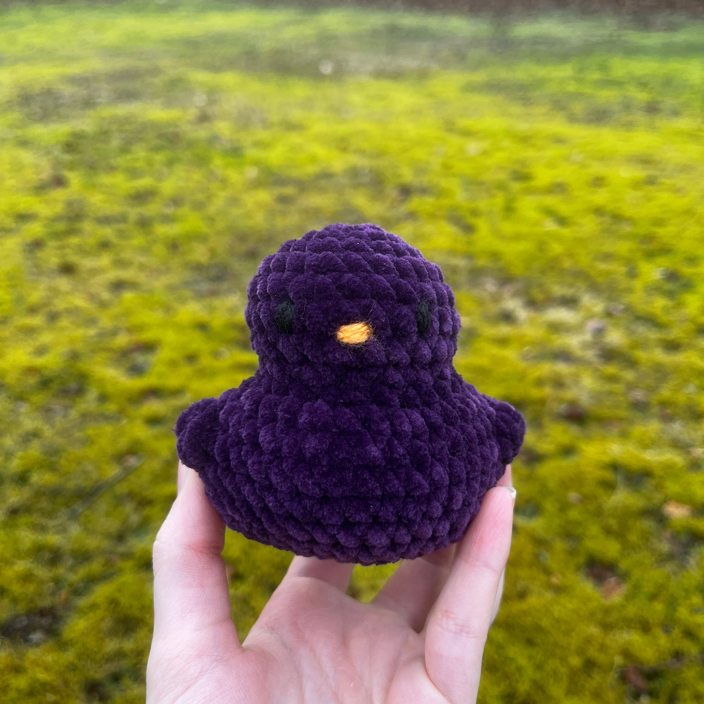 Ducky Buddy