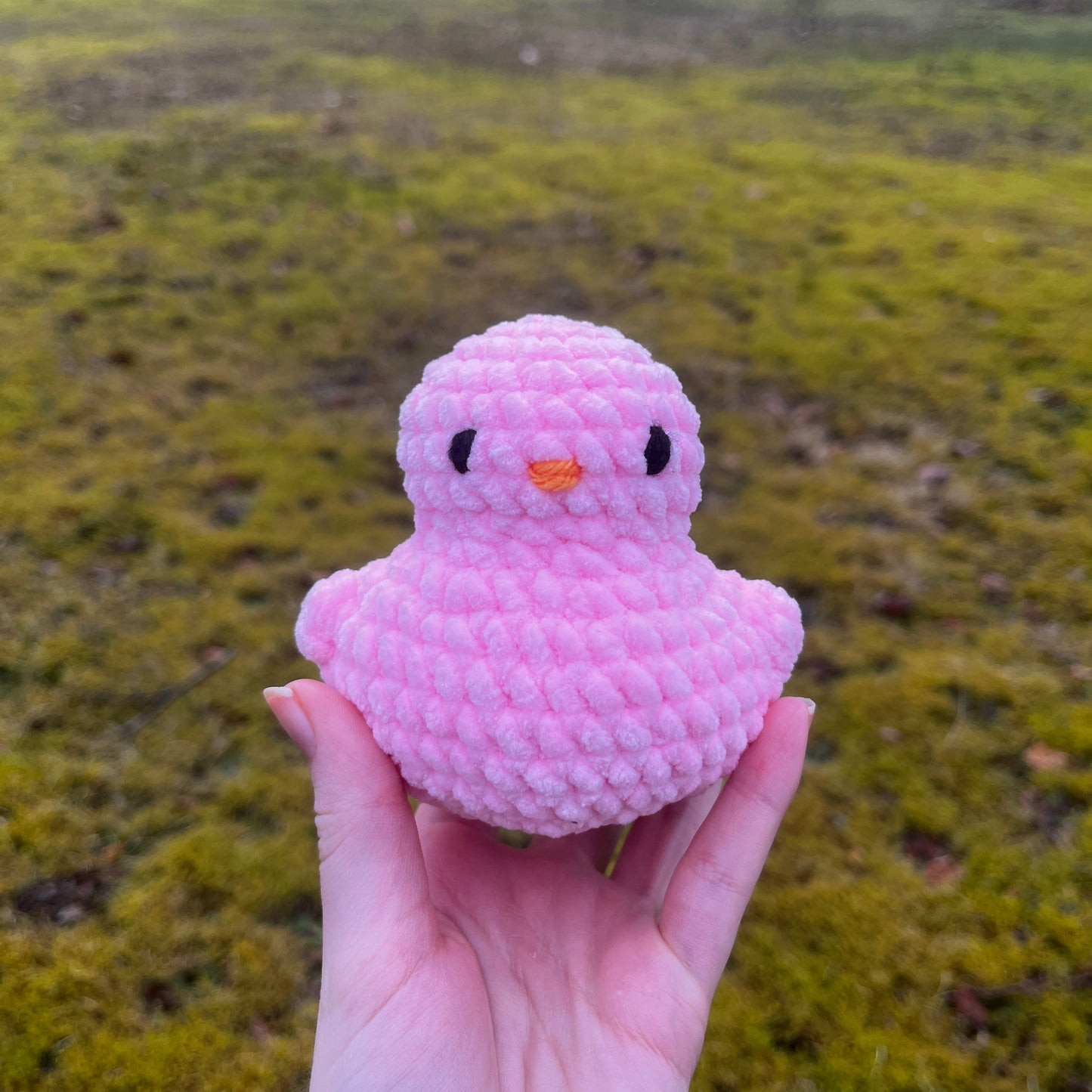 Ducky Buddy