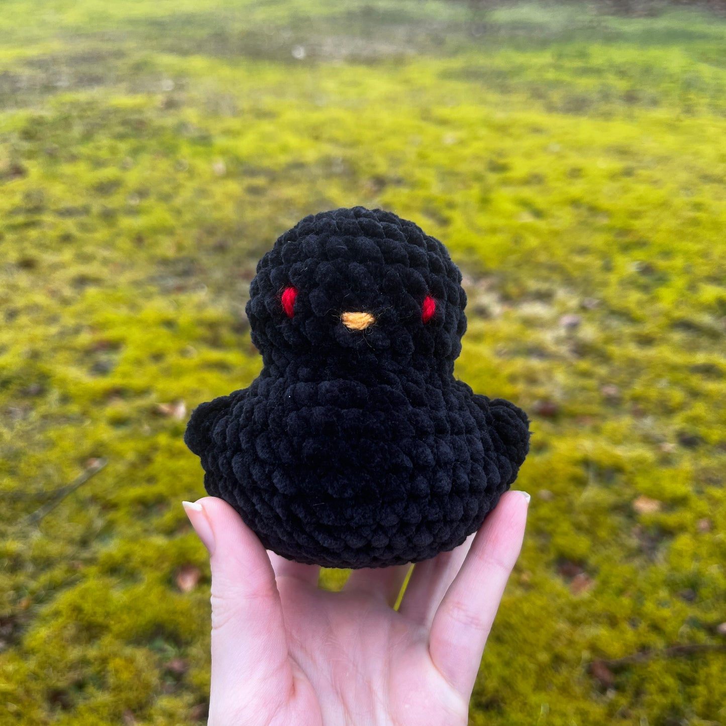 Ducky Buddy