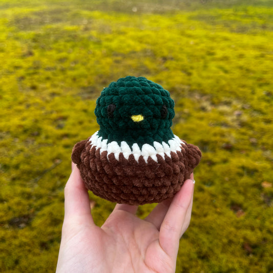 Evergreen Mallard Ducky
