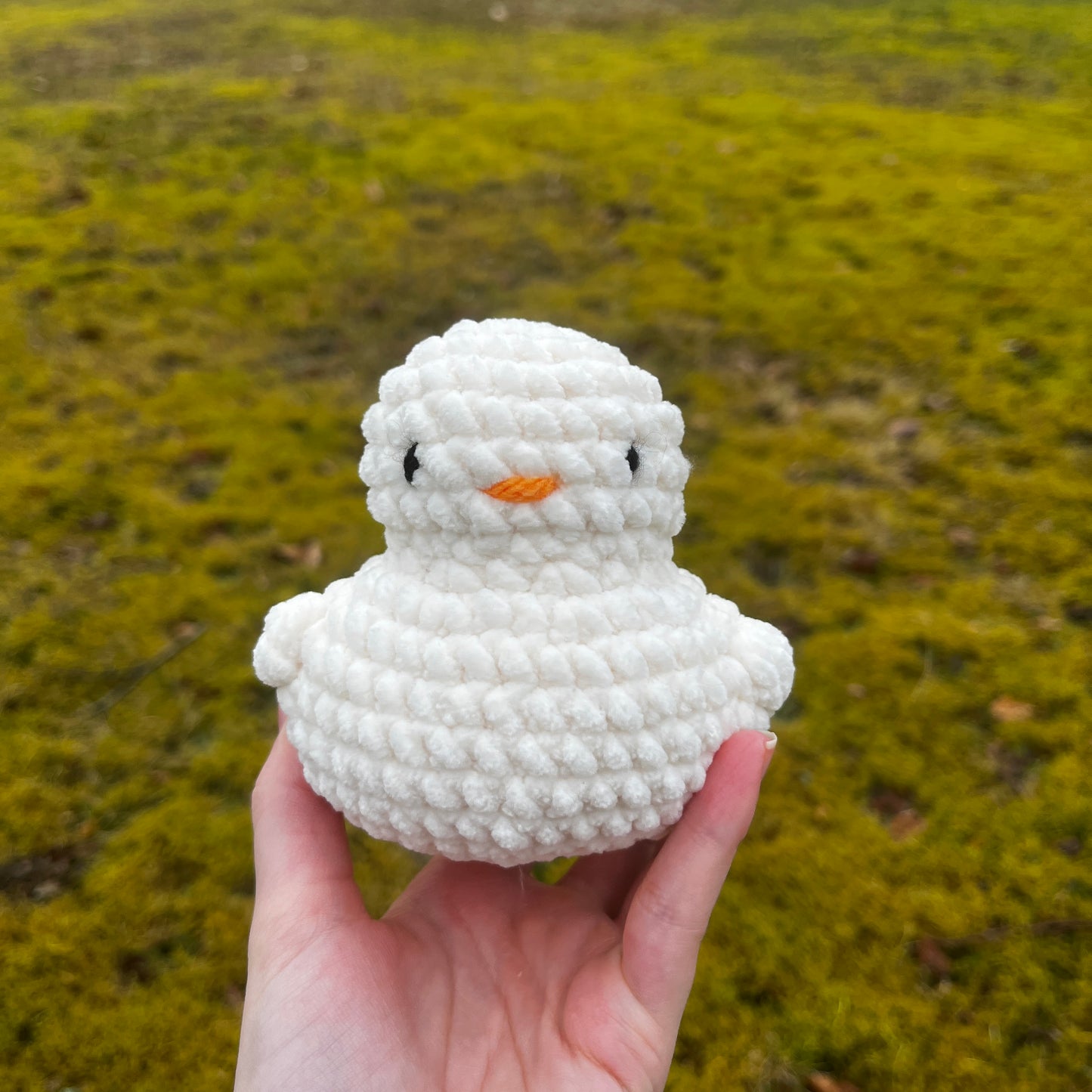 Ducky Buddy