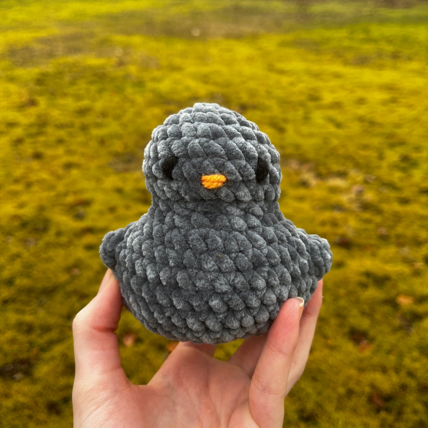 Ducky Buddy